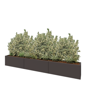 Jardinière XXL en acier - Rectangle - 300 x 30 x 40 cm - RAL7016 mat (gris anthracite) - Sanc plaque de fond