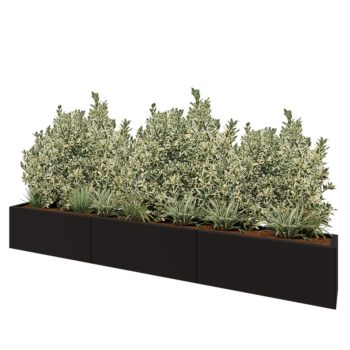 Jardinière XXL en acier - Rectangle - 300 x 30 x 40 cm - RAL9005 mat (noir) - Sanc plaque de fond