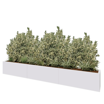 Jardinière XXL en acier - Rectangle - 300 x 30 x 40 cm - RAL9010 mat (blanc) - Avec plaque de fond