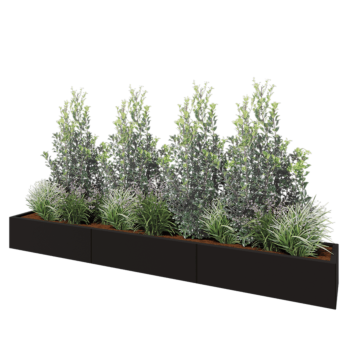 Jardinière XXL en acier - Rectangle - 300 x 40 x 30 cm - RAL9005 mat (noir) - Sanc plaque de fond