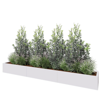 Jardinière XXL en acier - Rectangle - 300 x 40 x 30 cm - RAL9010 mat (blanc) - Avec plaque de fond