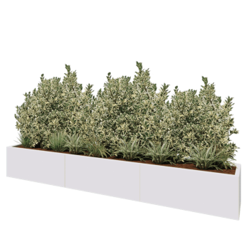 Jardinière XXL en acier - Rectangle - 300 x 40 x 40 cm - RAL9010 mat (blanc) - Sanc plaque de fond
