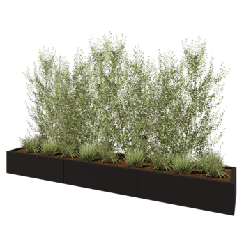 Jardinière XXL en acier - Rectangle - 300 x 50 x 30 cm - RAL9005 mat (noir) - Sanc plaque de fond