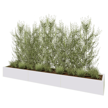 Jardinière XXL en acier - Rectangle - 300 x 50 x 30 cm - RAL9010 mat (blanc) - Sanc plaque de fond