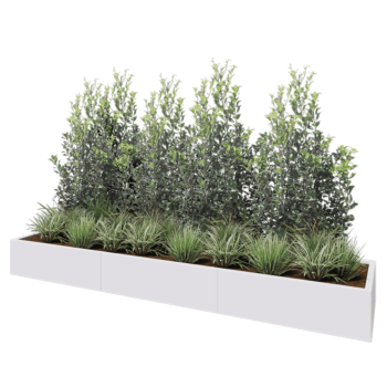 Jardinière XXL en acier - Rectangle - 300 x 60 x 30 cm - RAL9010 mat (blanc) - Avec plaque de fond