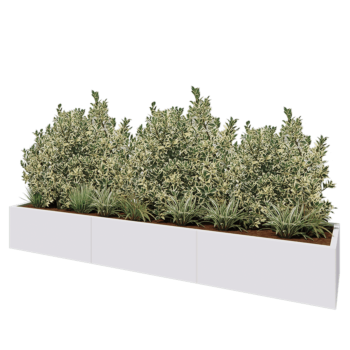 Jardinière XXL en acier - Rectangle - 300 x 60 x 40 cm - RAL9010 mat (blanc) - Avec plaque de fond