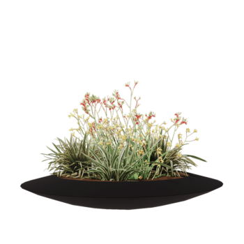 Jardinière en polyester - Coupe - Ø 120 x 20 cm - RAL9005 mat (noir) - Avec fond