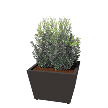 Jardinière en acier - Cône - 80 x 80 x 51,5 cm - Soudé - RAL7016 mat (gris anthracite) - Avec plaque de fond