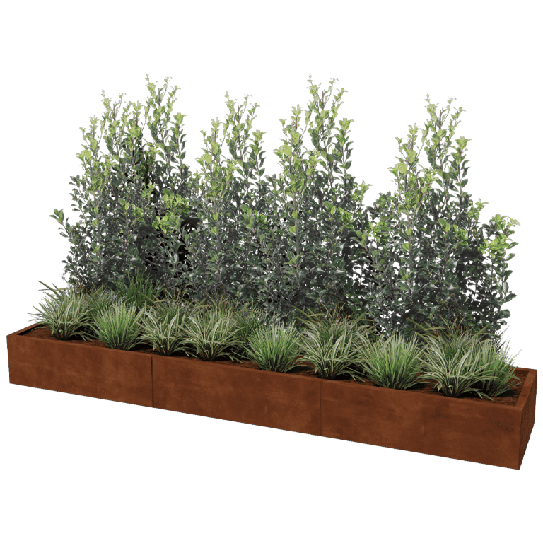 Bac à plantes en acier corten Texas xxl 300 x 60 cm
