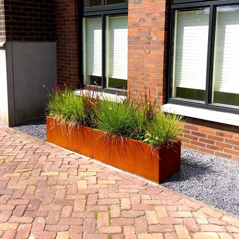 Bac à plantes en acier corten Texas xxl 200 x 40 cm
