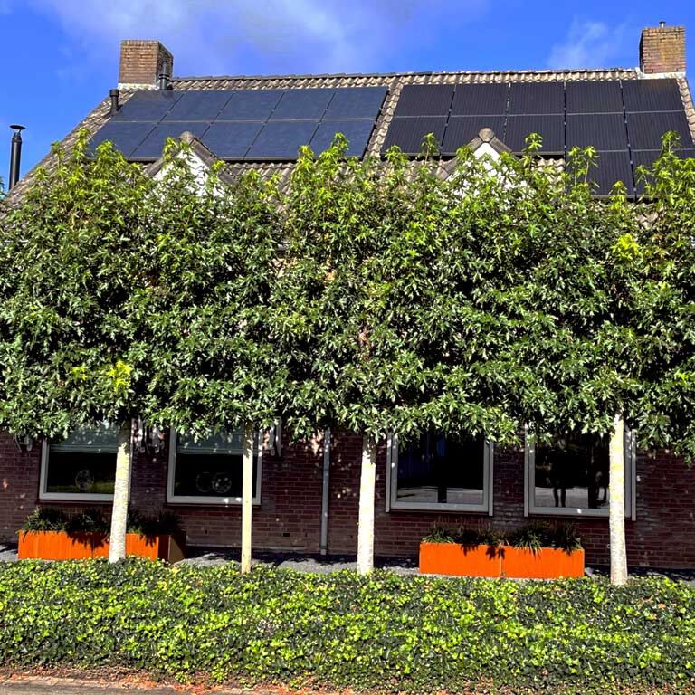 Jardinière en acier corten Texas xxl 200 x 60 cm