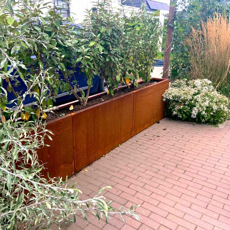 Jardinière en acier corten Texas xxl 300 x 30 cm