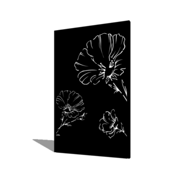 Coquelicot peint par poudrage