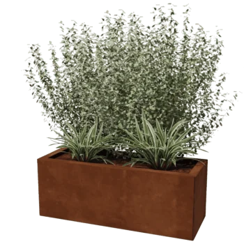 Jardinière en acier Corten - Rectangle - 30 x 80 cm