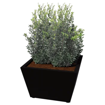 Jardinière en acier - Cône - 80 x 80 x 51,5 cm - Soudé - Autre couleur RAL - Avec plaque de fond