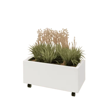 Jardinière en acier - Rectangle - 80 x 40 x 30 cm - RAL9010 mat (blanc) - Avec plaque de fond - Avec roulettes