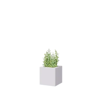 Jardinière en acier - Carré - 30 x 30 x 30 cm - RAL9010 mat (blanc) - Avec plaque de fond