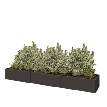 Jardinière XXL en acier - Rectangle - 360 x 60 x 40 cm - RAL7016 mat (gris anthracite) - Avec plaque de fond