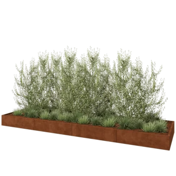 Jardinière XXL en acier Corten - Rectangle - 480 x 120 x 30 cm - Avec plaque de fond
