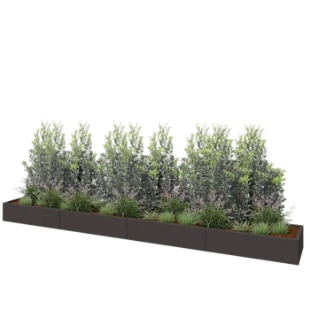 Jardinière XXL en acier - Rectangle - 480 x 60 x 30 cm - RAL7016 mat (gris anthracite) - Sanc plaque de fond