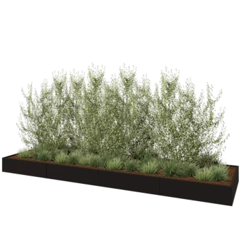 Jardinière XXL en acier - Rectangle - 480 x 120 x 30 cm - RAL9005 mat (noir) - Avec plaque de fond