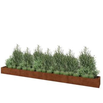 Jardinière XXL en acier Corten - Rectangle - 480 x 40 x 30 cm - Avec plaque de fond