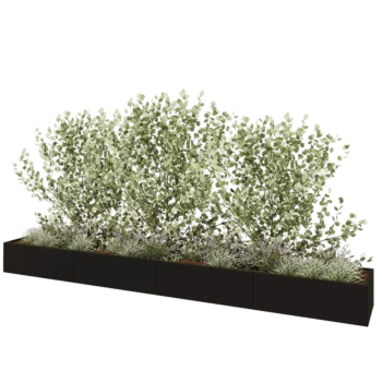 Jardinière XXL en acier - Rectangle - 480 x 60 x 40 cm - RAL9005 mat (noir) - Sanc plaque de fond