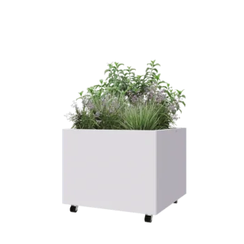 Jardinière en acier - Carré - 80 x 80 x 60 cm - RAL9010 mat (blanc) - Avec plaque de fond - Avec roulettes