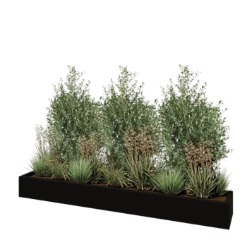 Jardinière en polyester - Rectangle - 200 x 30 x 20 cm - RAL9005 mat (noir) - Avec fond