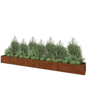 Jardinière XXL en acier Corten - Rectangle - 480 x 50 x 40 cm - Avec plaque de fond