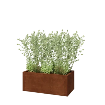 Jardinière en acier Corten - Rectangle - 100 x 50 x 40 cm - Sanc plaque de fond