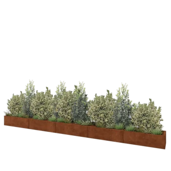 Jardinière XXL en acier Corten - Rectangle - 500 x 40 x 30 cm - Avec plaque de fond