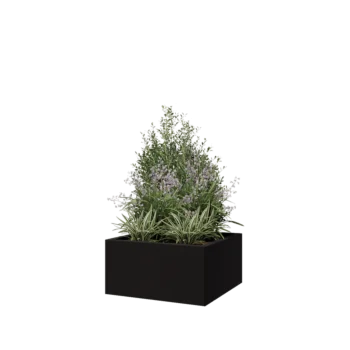 Jardinière en acier - Carré - 60 x 60 x 30 cm - RAL9005 mat (noir) - Sanc plaque de fond