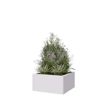 Jardinière en acier - Carré - 60 x 60 x 30 cm - RAL9010 mat (blanc) - Avec plaque de fond