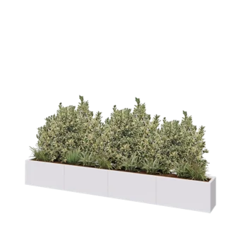Jardinière XXL en acier - Rectangle - 320 x 30 x 40 cm - RAL9010 mat (blanc) - Avec plaque de fond