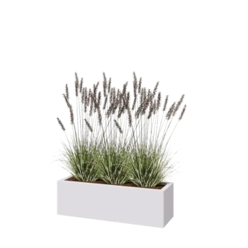 Jardinière en acier - Rectangle - 100 x 30 x 30 cm - RAL9010 mat (blanc) - Sanc plaque de fond