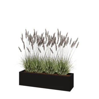 Jardinière en acier - Rectangle - 120 x 30 x 30 cm - RAL9005 mat (noir) - Avec plaque de fond