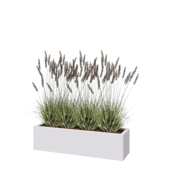 Jardinière en acier - Rectangle - 120 x 30 x 30 cm - RAL9010 mat (blanc) - Sanc plaque de fond