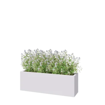 Jardinière en acier - Rectangle - 120 x 30 x 40 cm - RAL9010 mat (blanc) - Sanc plaque de fond
