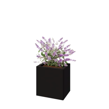 Jardinière en acier - Rectangle - 40 x 30 x 40 cm - RAL9005 mat (noir) - Sanc plaque de fond