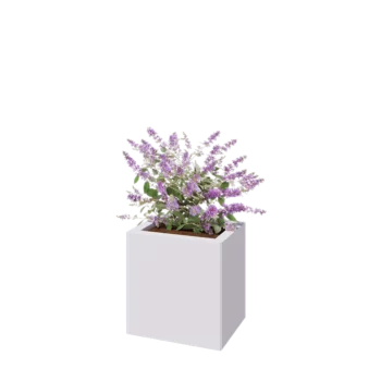 Jardinière en acier - Rectangle - 40 x 30 x 40 cm - RAL9010 mat (blanc) - Avec plaque de fond