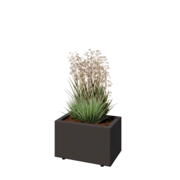 Jardinière en acier - Rectangle - 50 x 30 x 30 cm - RAL7016 mat (gris anthracite) - Avec plaque de fond - Avec pieds