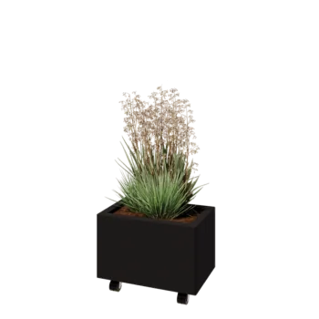 Jardinière en acier - Rectangle - 50 x 30 x 30 cm - RAL9005 mat (noir) - Avec plaque de fond - Avec roulettes