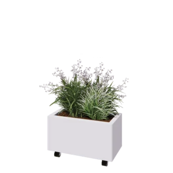 Jardinière en acier - Rectangle - 60 x 30 x 30 cm - RAL9010 mat (blanc) - Avec plaque de fond - Avec roulettes