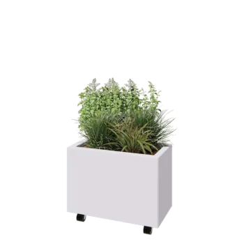 Jardinière en acier - Rectangle - 60 x 30 x 40 cm - RAL9010 mat (blanc) - Avec plaque de fond - Avec roulettes