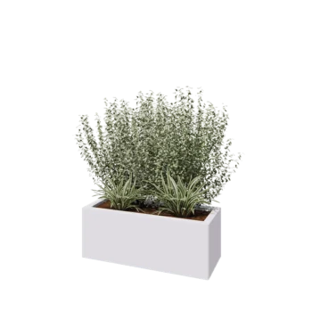 Jardinière en acier - Rectangle - 80 x 30 x 30 cm - RAL9010 mat (blanc) - Avec plaque de fond