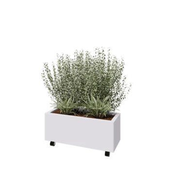 Jardinière en acier - Rectangle - 80 x 30 x 30 cm - RAL9010 mat (blanc) - Avec plaque de fond - Avec roulettes