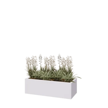 Jardinière en acier - Rectangle - 100 x 40 x 30 cm - RAL9010 mat (blanc) - Avec plaque de fond