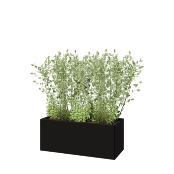 Jardinière en acier - Rectangle - 100 x 40 x 40 cm - RAL9005 mat (noir) - Sanc plaque de fond