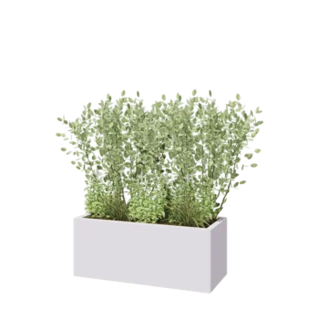 Jardinière en acier - Rectangle - 100 x 40 x 40 cm - RAL9010 mat (blanc) - Avec plaque de fond